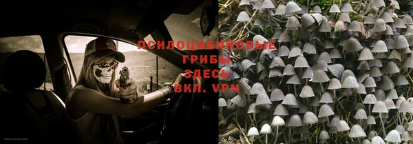 круглые Липки