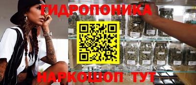 соль ск Кандалакша