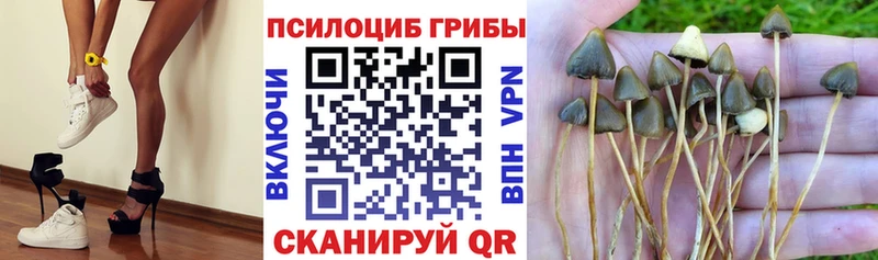 Псилоцибиновые грибы мицелий  Петропавловск-Камчатский 