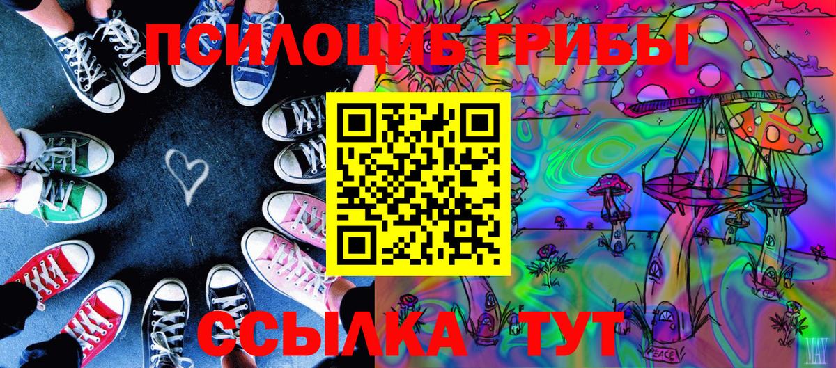 Псилоцибиновые грибы мицелий  Псилоцибиновые грибы Cubensis  Петропавловск-Камчатский 