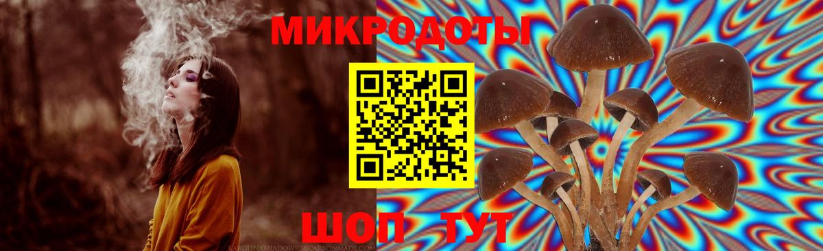 Галлюциногенные грибы Cubensis Петропавловск-Камчатский