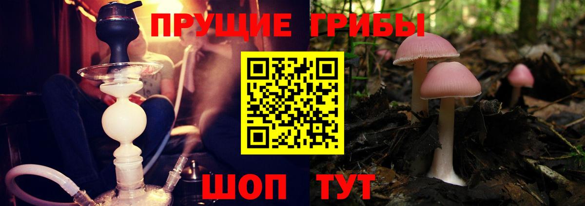 Псилоцибиновые грибы ЛСД Петропавловск-Камчатский