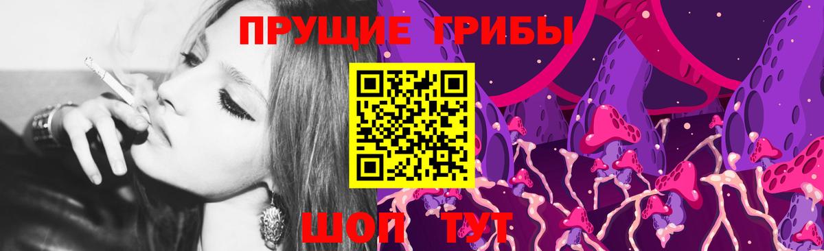 Галлюциногенные грибы Psilocybe  Вход с VPN  Петропавловск-Камчатский 